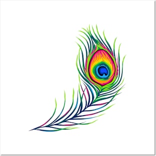 Peacock Feather Posters and Art